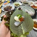 회신물회 | 대구 북구청맛집 회신물회, 푸짐한 특선 모듬회 후기