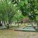 양양 고인돌 오토캠핑장 이미지