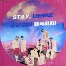 전곡스테이 | 2025 가요대전, 가요대제전 후기 (feaat. 연말에는 스키즈를)