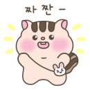 용호스포츠