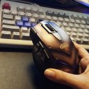 어디에서 왔니 이미지