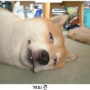 나 완전 피곤해. - I'm beat 이미지