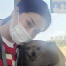 멍냠멍냠 이미지