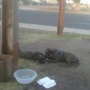 (주)견공 이미지