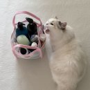 구덕 사우나 이미지