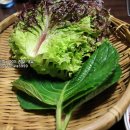 용표철판곱창 | 중랑역 맛집 여기도 벌써 10년 단골