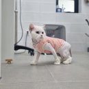 함께냥 대전점 이미지