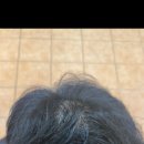 토탈미용실 - 원주시 | 토탈미용실