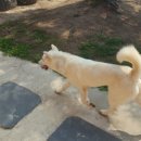 장토
