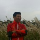 돌봄누리 이미지