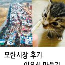 황구건강원 | :: 모란시장후기 , 이유식만들기 ::