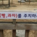 최부짱 이미지
