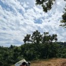 도덕농장 이미지