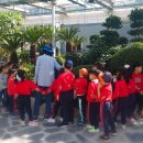 빛고을유치원 이미지