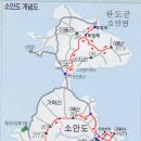 완도 맹선리 상록수림 이미지