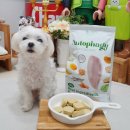 주식회사 농업회사법인 고기인생 | 동결건조 강아지수제간식 펫퍼플 인푸드 오토파지 데일리 치킨케어 급여 후기