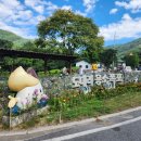 남북리 용소집 뒤 | 가평 계곡 물놀이 추천｜다이빙 성지 도대리 용소폭포 주차·운영시간·취사·식당·샤워장 꿀팁