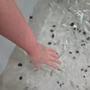 아쿠아키즈 | 폼폼아쿠아키즈카페