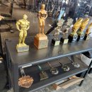 럭셔리휘트니스헬스 | 고잔동헬스장 변화 휘트니스 이용 후기 | 시설 좋음 기구 많음