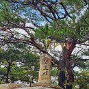 신성 행정사 네이버블로그