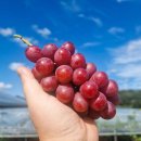 (주)네오게임즈 이미지