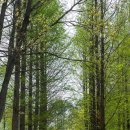 성모기획 이미지