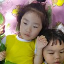 서곶그린공원 이미지