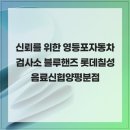 롯데칠성음료신용협동조합충주2분점 | 신뢰를 위한 영등포자동차검사소 블루핸즈 롯데칠성음료신협양평분점