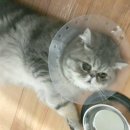 로하스일산병원 이미지