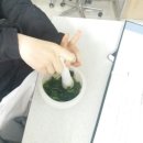 조선대학여자고등학교 이미지