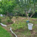 일찍 저녁식사를 하니 이미지