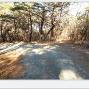 태종로주유소 이미지