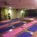 다인요가원 이미지