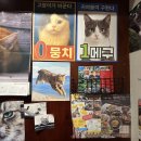 타코in카페 | 망원동 카페나하 본점 | 오키나와 감성 오므라이스 망원 맛집 내돈대산 후기