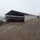 율리목장 이미지