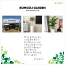 UR(대전광역시)-[북유성대로]-상-50 | 독일 레츄자화분, 식물 죽일까봐 걱정 NO!! NO!! #노은화훼단지 #대전화훼단지