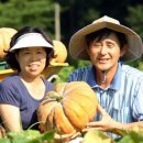 참샘골농원 이미지