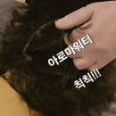 에스엔투 네이버블로그