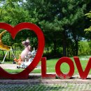 강원도립화목원 이미지