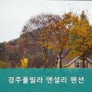 앤셜리 | 경주 팬션 경주풀빌라 앤셜리 펜션 프라이빗 풀빌라 완벽 후기