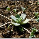 해여림식물원 이미지