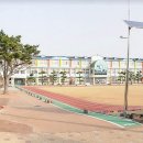조천초등학교 이미지
