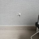 세븐일레븐 광주하남장안점 | 하남시 찢어진 벽지 보수 수리