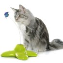 더원고양이동물병원 이미지