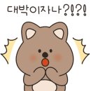전주 햄스터 이미지