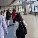 오만가지재활용센타 | 인천-상하이-런던 [MU5052], 항공권 가격, 푸동공항 환승, 기내식, 중국 동방항공 후기