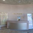 풍산단호로(풍산읍) 이미지