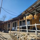 순두부식당 이미지