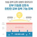 대웅 동물약국 | 코스트코 바이오더마 아토덤 울트라 크림 500ml x 2 Bioderma Atoderm Ultra Cream 내돈내산 후기