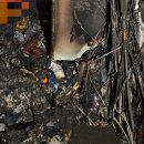 산호동119 이미지